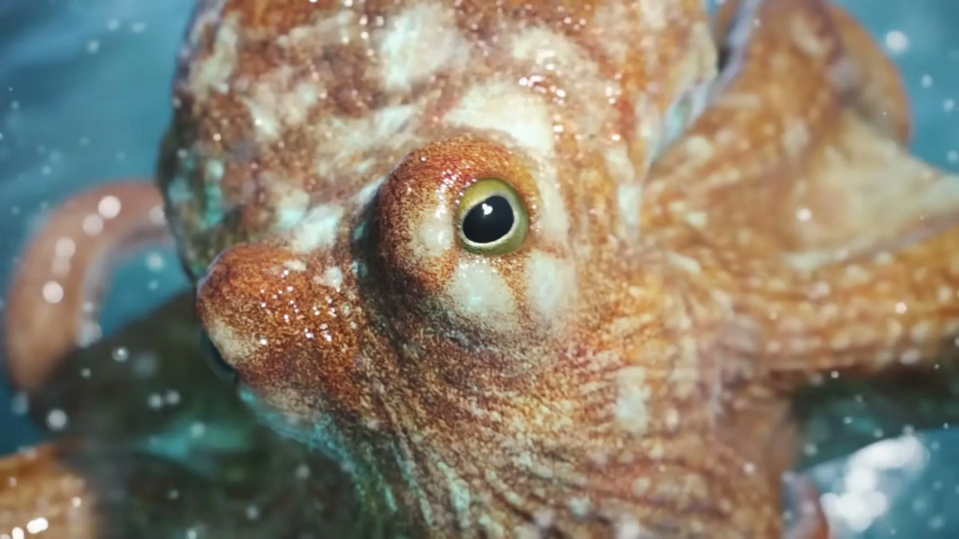 A photorealistic CGI octopus with textured skin and a large eye is seen in a medium closeup, surrounded by water and bubbles.