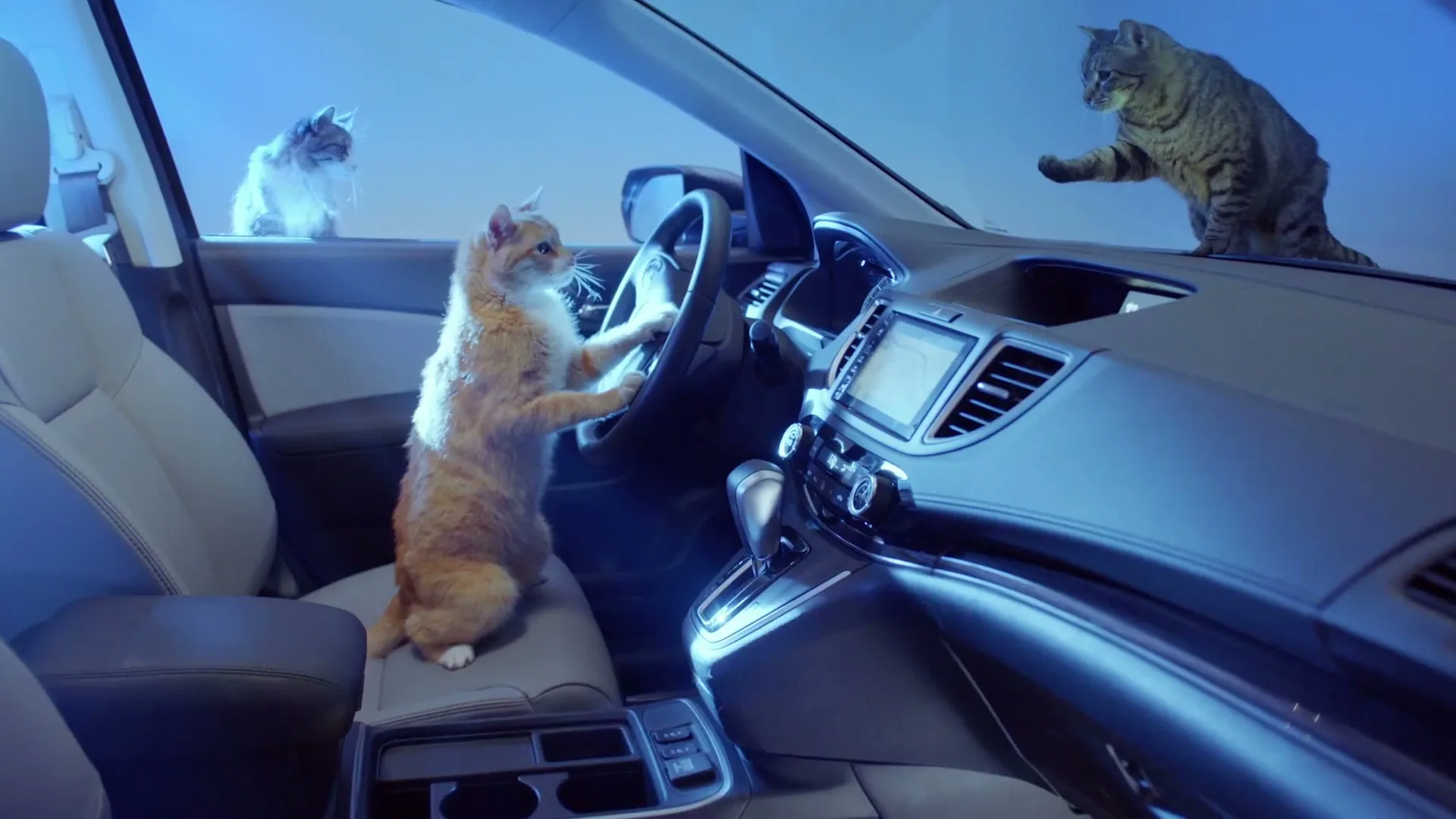 Honda “Meow is the Moment” (2019), frame 6