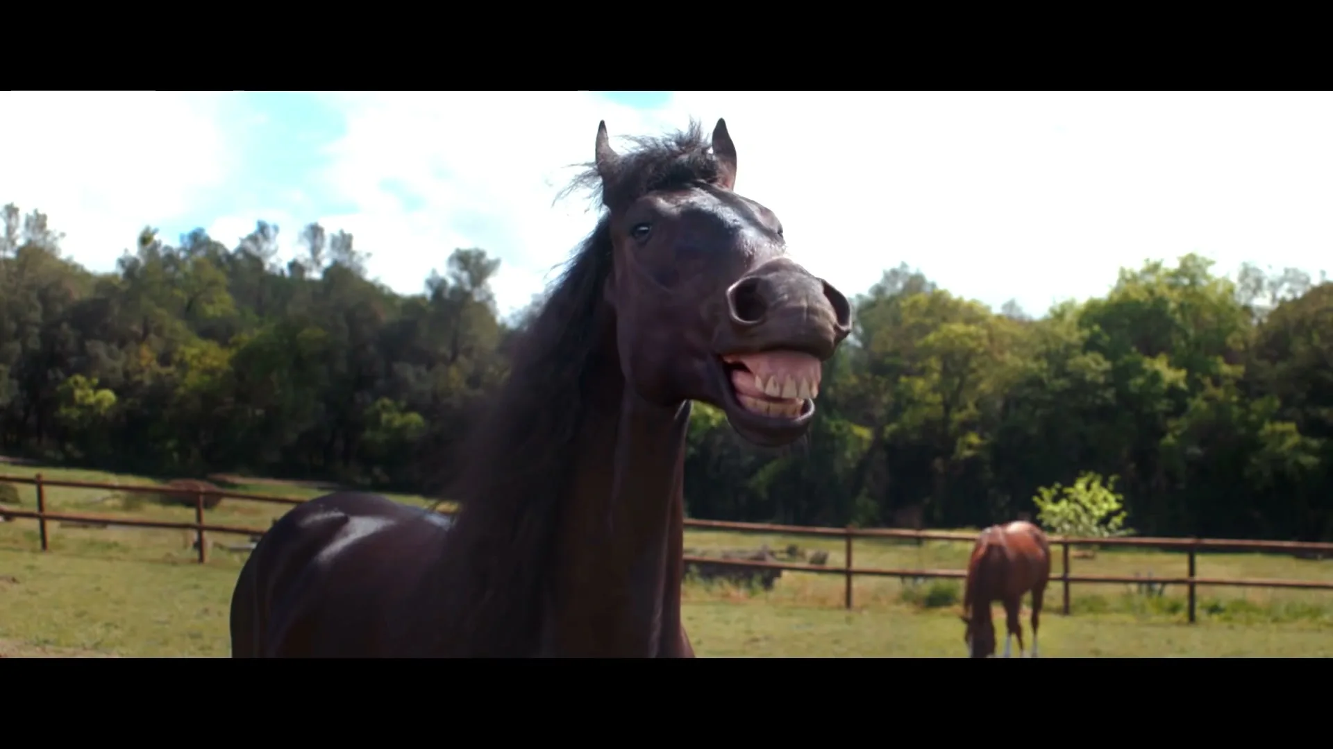 Volkswagen AG “Laughing Horses” (2017), frame 2