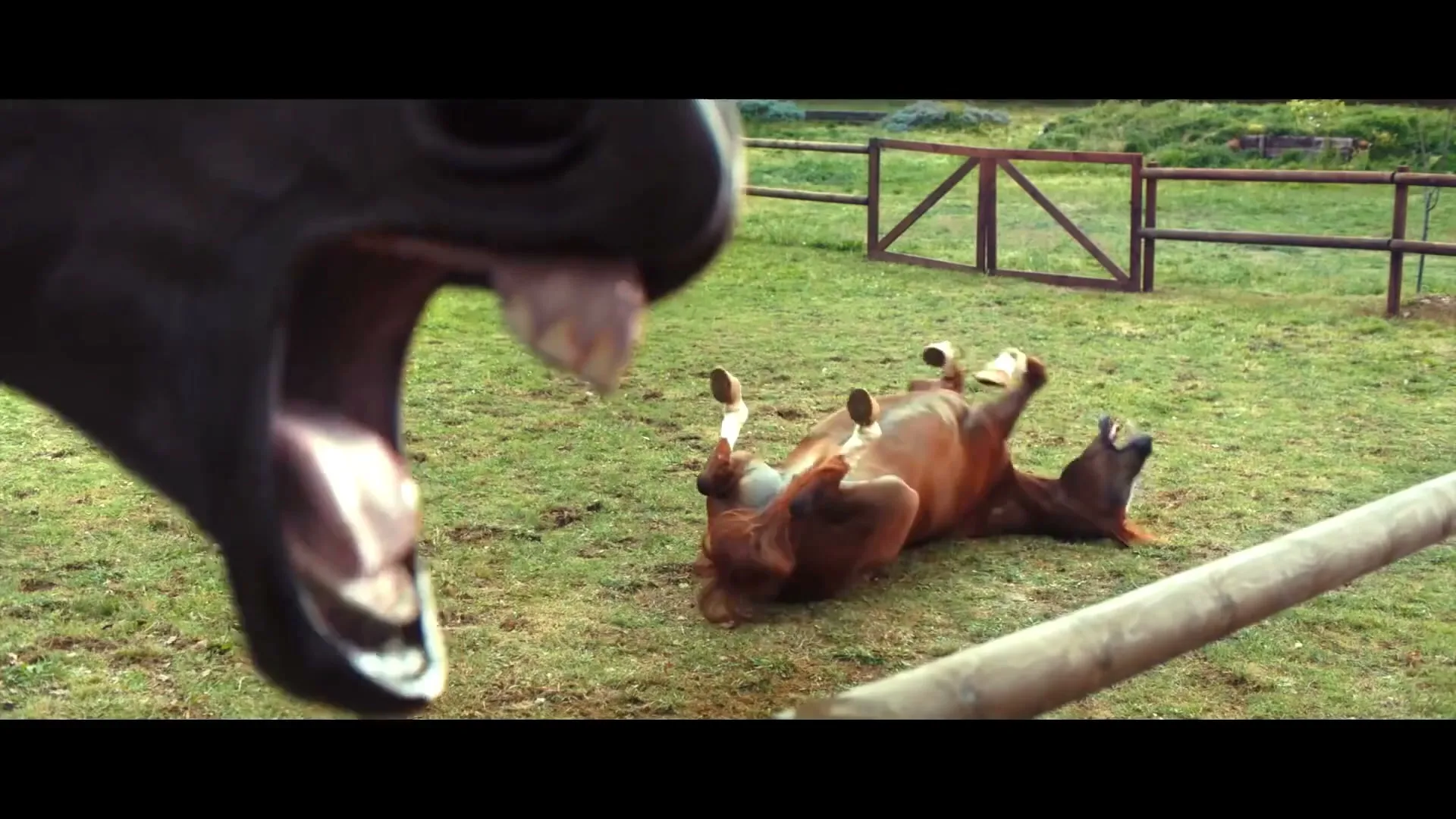 Volkswagen AG “Laughing Horses” (2017), frame 5