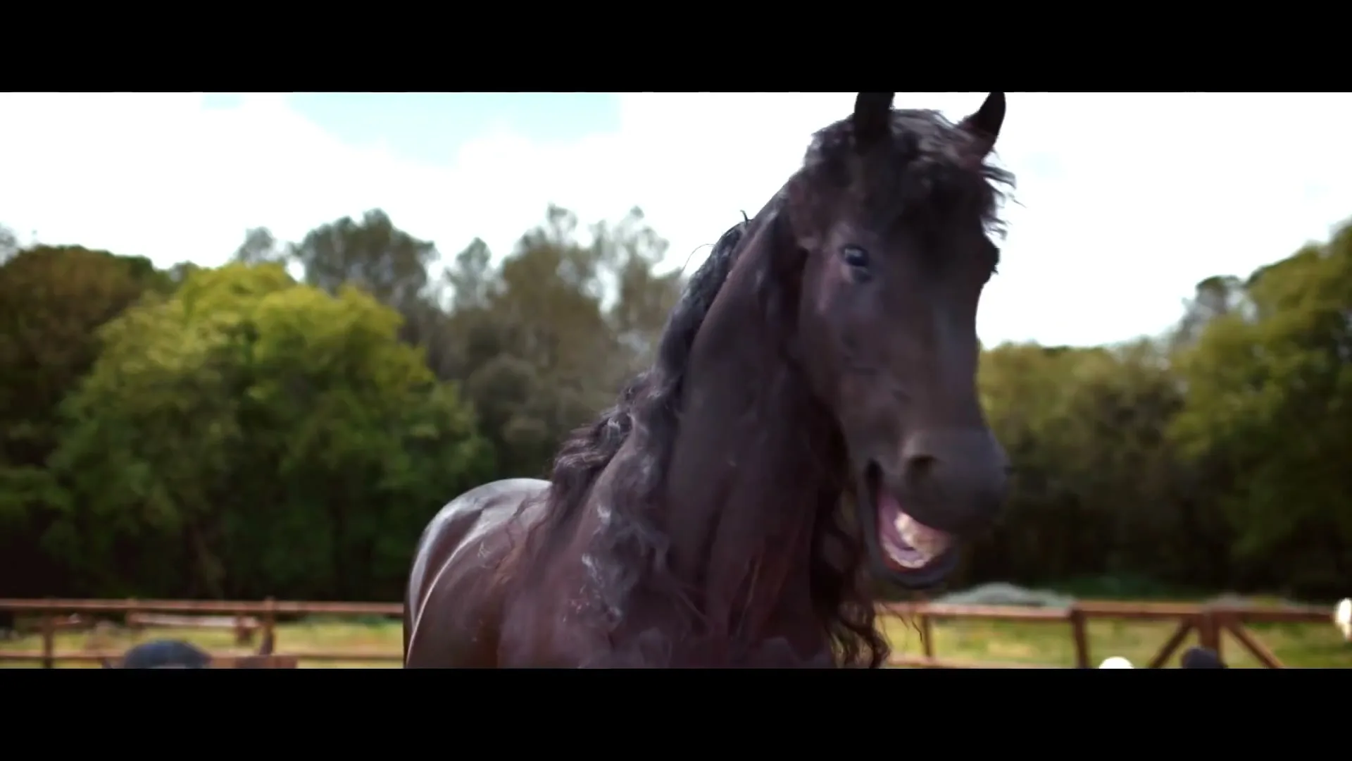 Volkswagen AG “Laughing Horses” (2017), frame 6