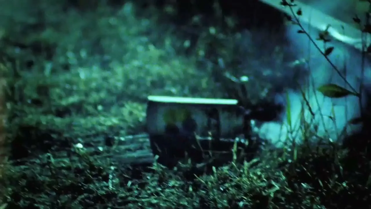 A small, cylindrical object with a colorful label sits on the ground amidst grass and dirt, emitting a plume of smoke into the night air.