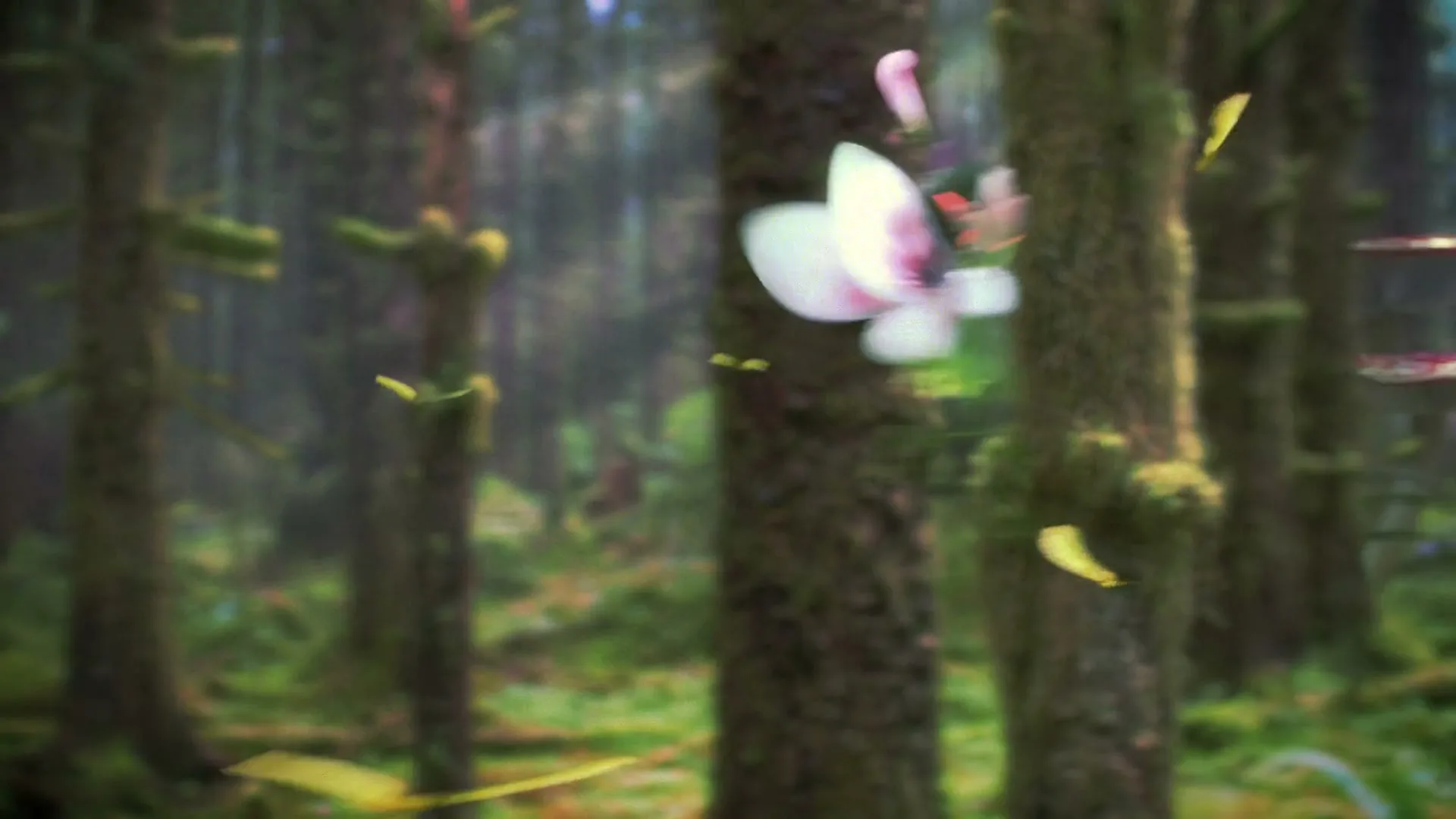 A magical forest with glowing sprites and a FedEx delivery truck driving on a dirt path, as the camera pulls back to reveal the scene.