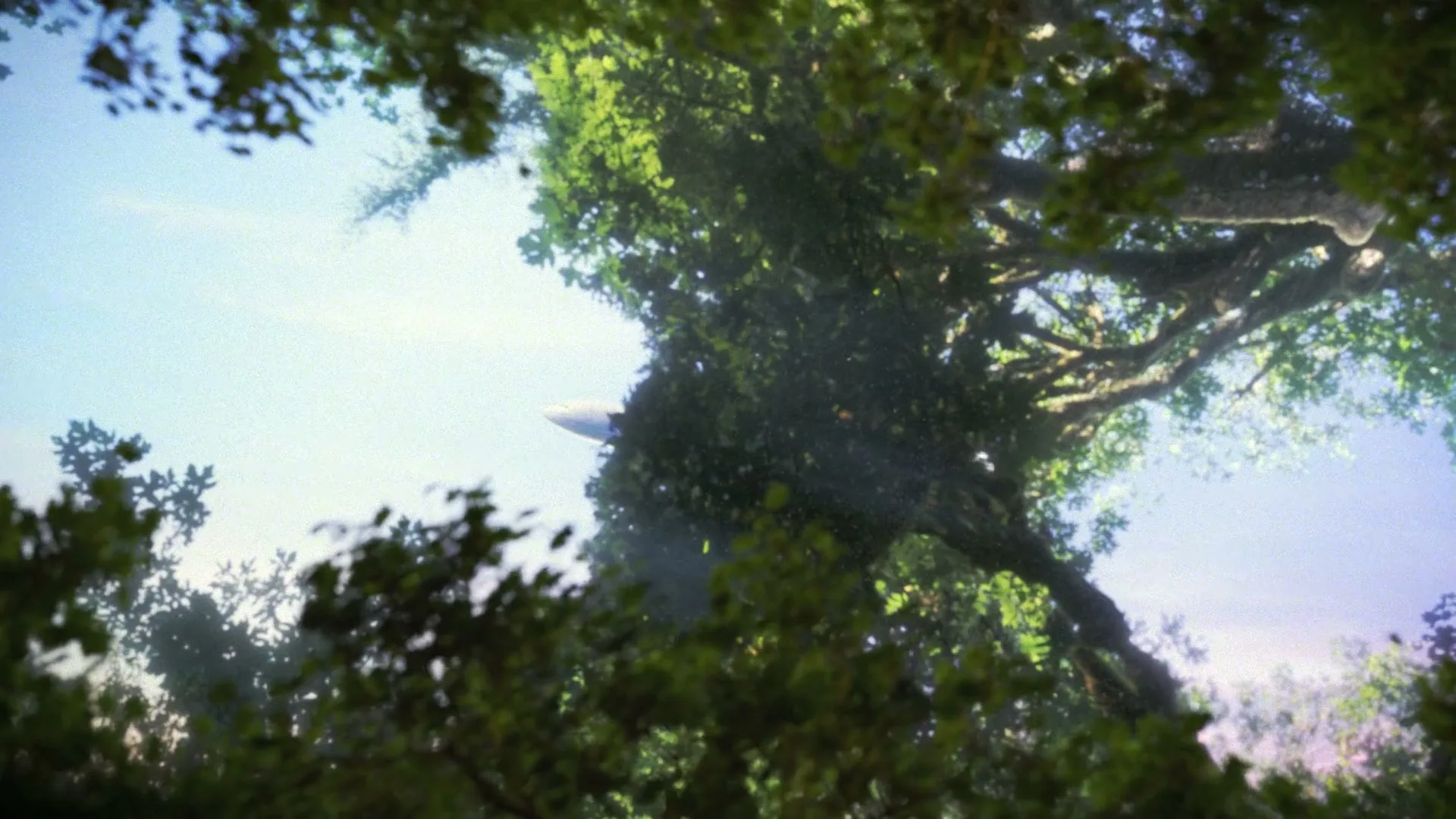 A FedEx cargo plane flies through a bright blue sky, partially obscured by the lush green leaves and branches of a large, ancient-looking tree.
