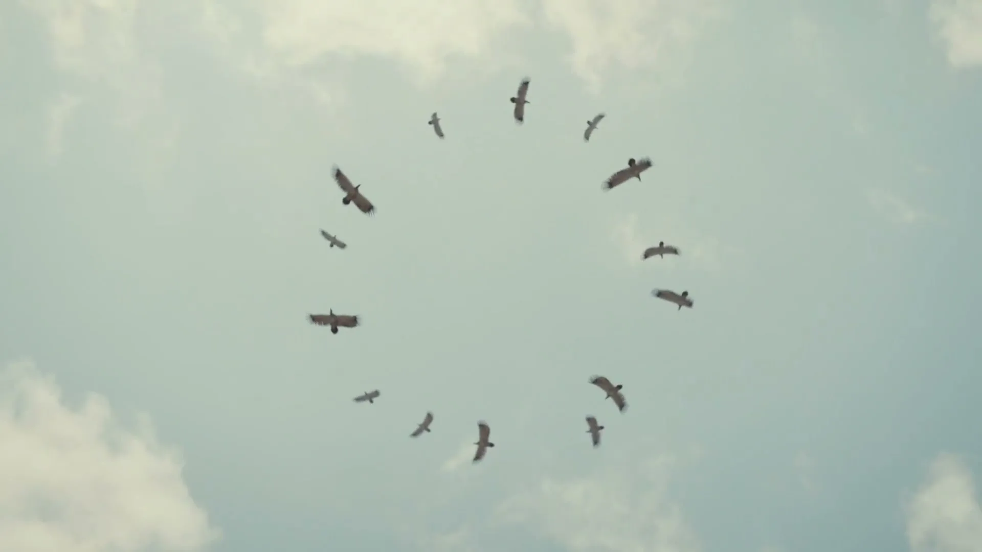 Ooredoo "Messi - Vultures" (2024) commercial still