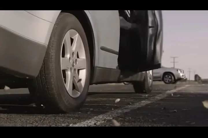 New Zealand Government “Mistakes” (2015), frame 4
