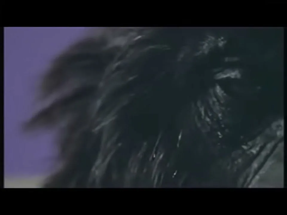 Dairy Milk “Gorilla” (2008), frame 2