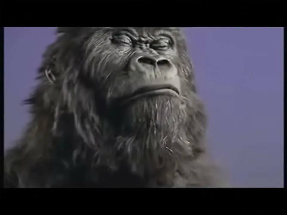 Dairy Milk “Gorilla” (2008), frame 3