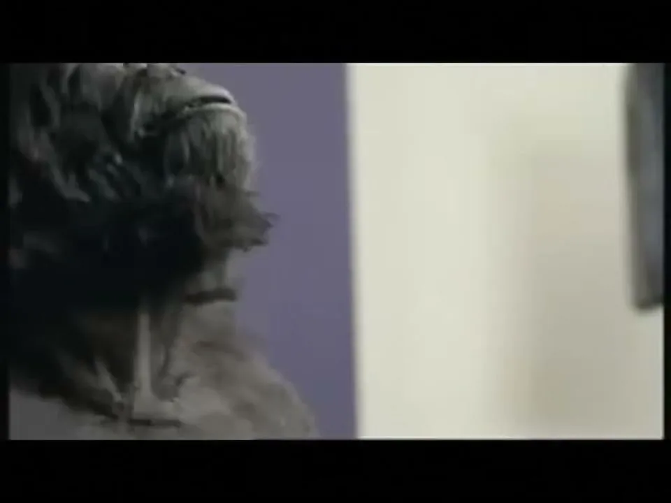 Dairy Milk “Gorilla” (2008), frame 6