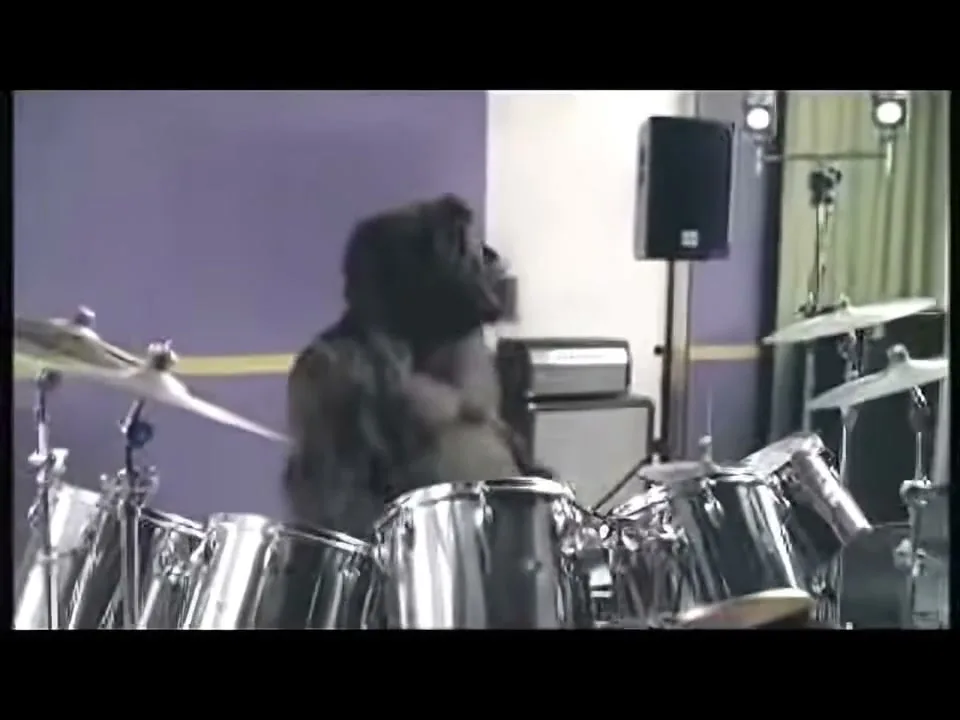 Dairy Milk "Gorilla" (2008) commercial still