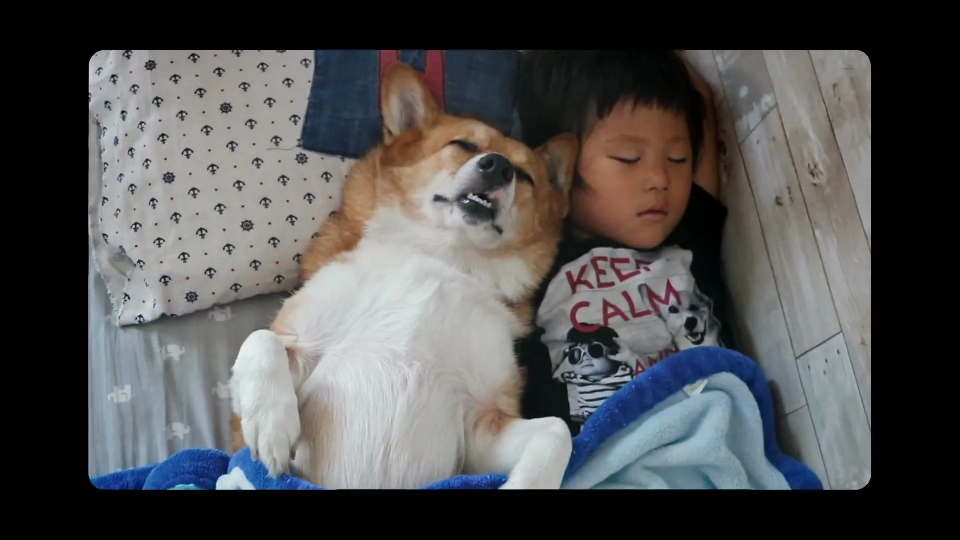Merrick Pet Care "Dogs Are In Charge" (2019) commercial still