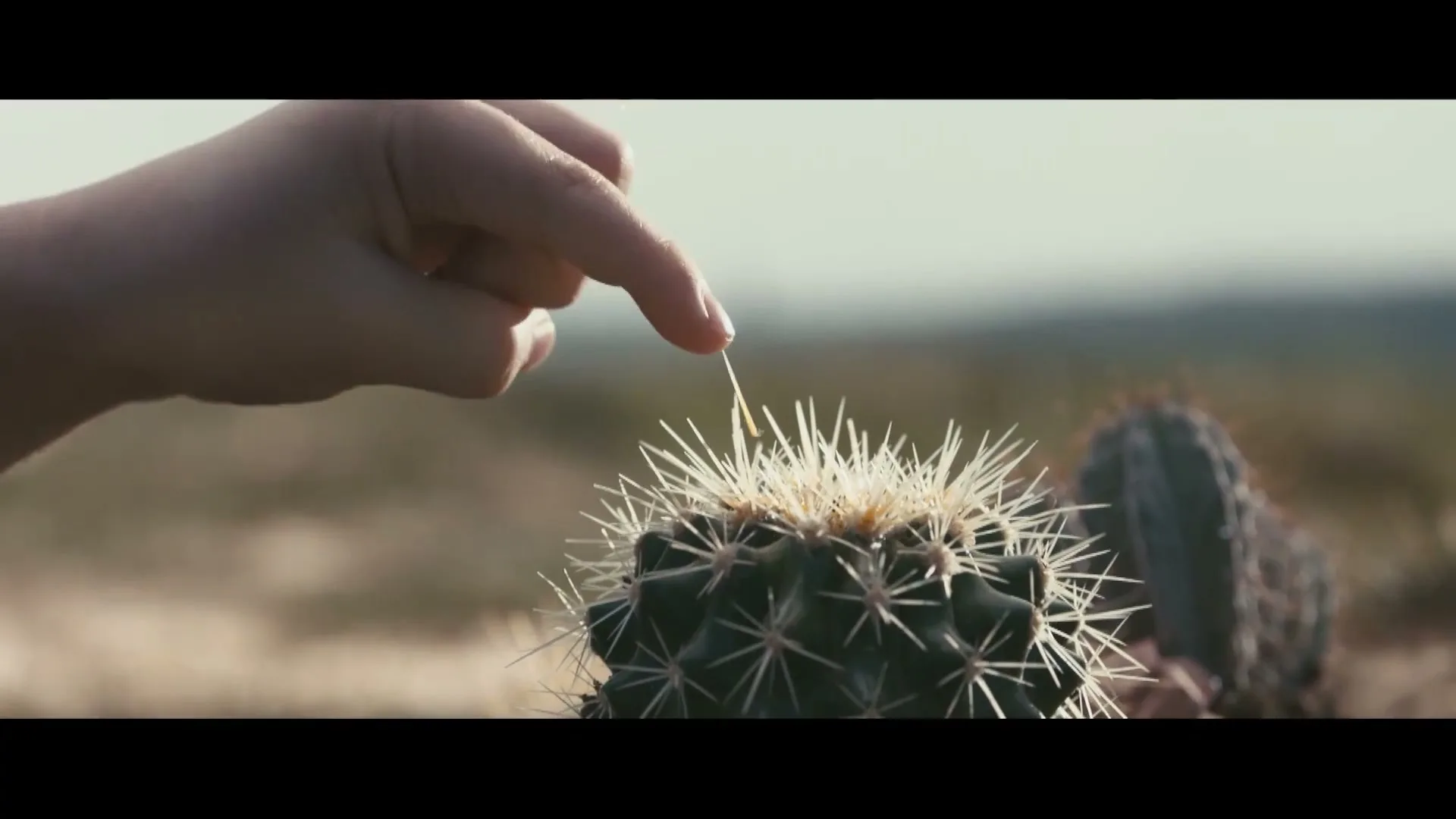 Land Rover “Never Stop Discovering” (2025), frame 5