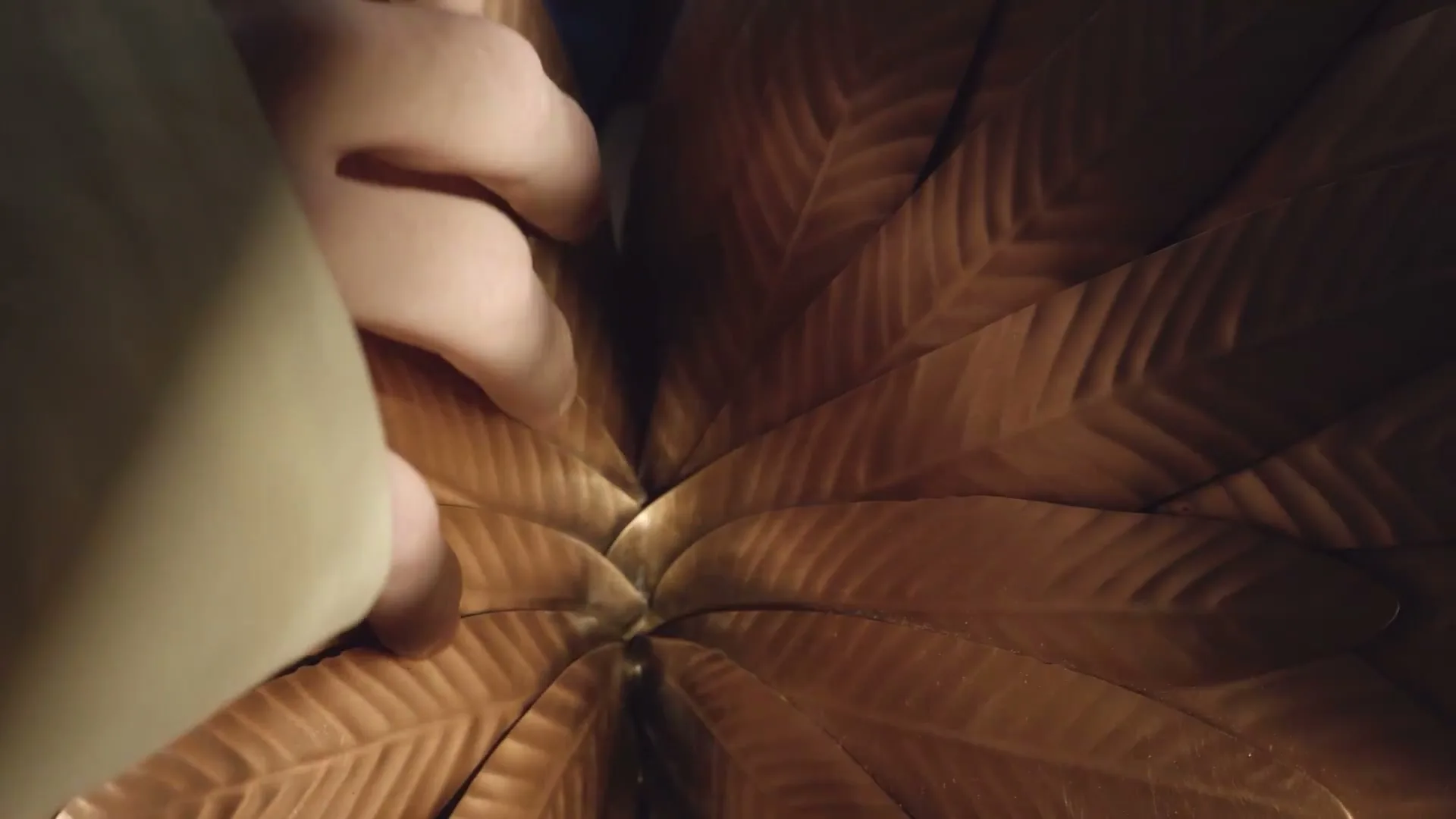 Loewe “FALL WINTER 2023 MENS CAMPAIGN” (2023), frame 4