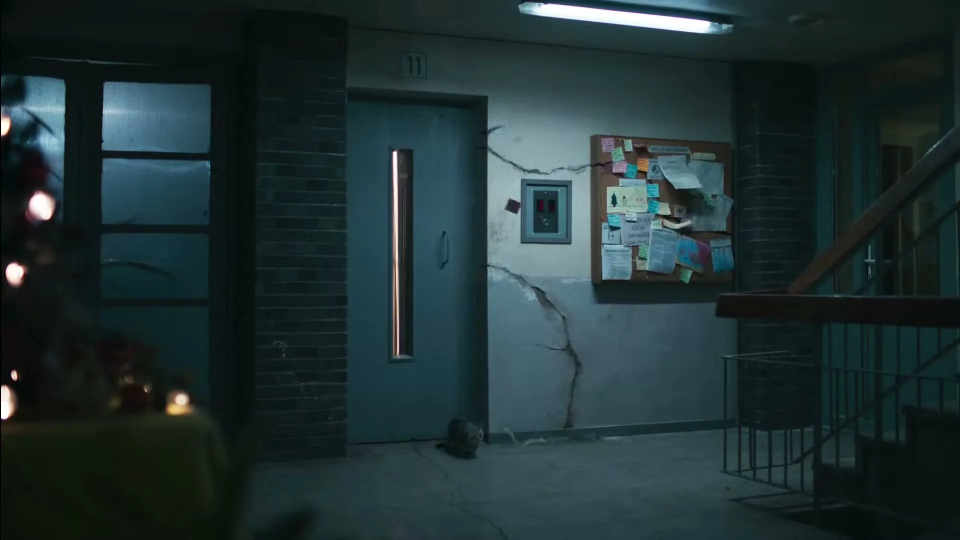 A small, grey cat walks across the cracked floor of a dimly lit apartment building hallway, past a bulletin board and a closed door.