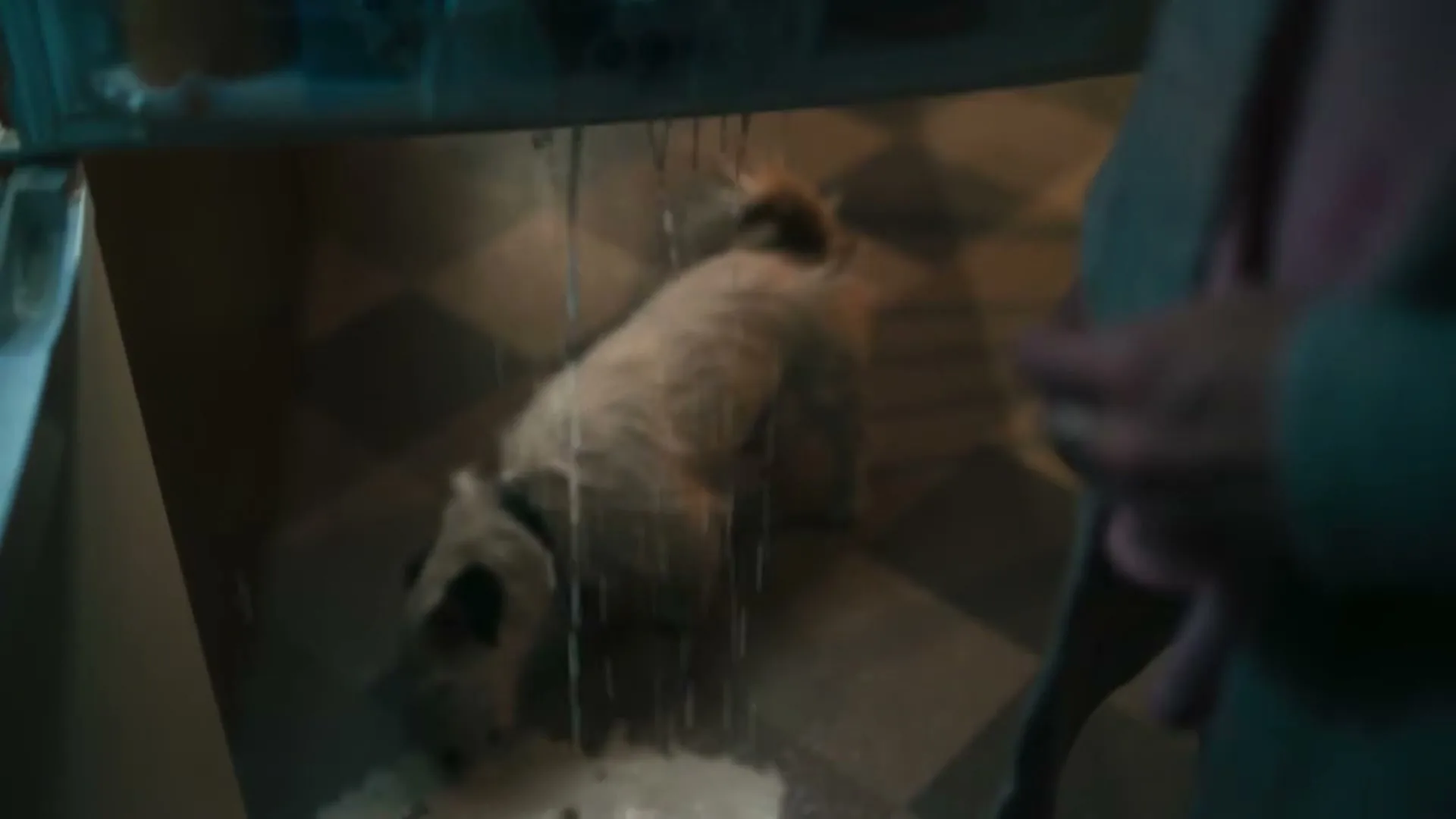 A small, scruffy dog laps up spilled milk from the floor of a kitchen, while a person's legs are visible in the foreground.