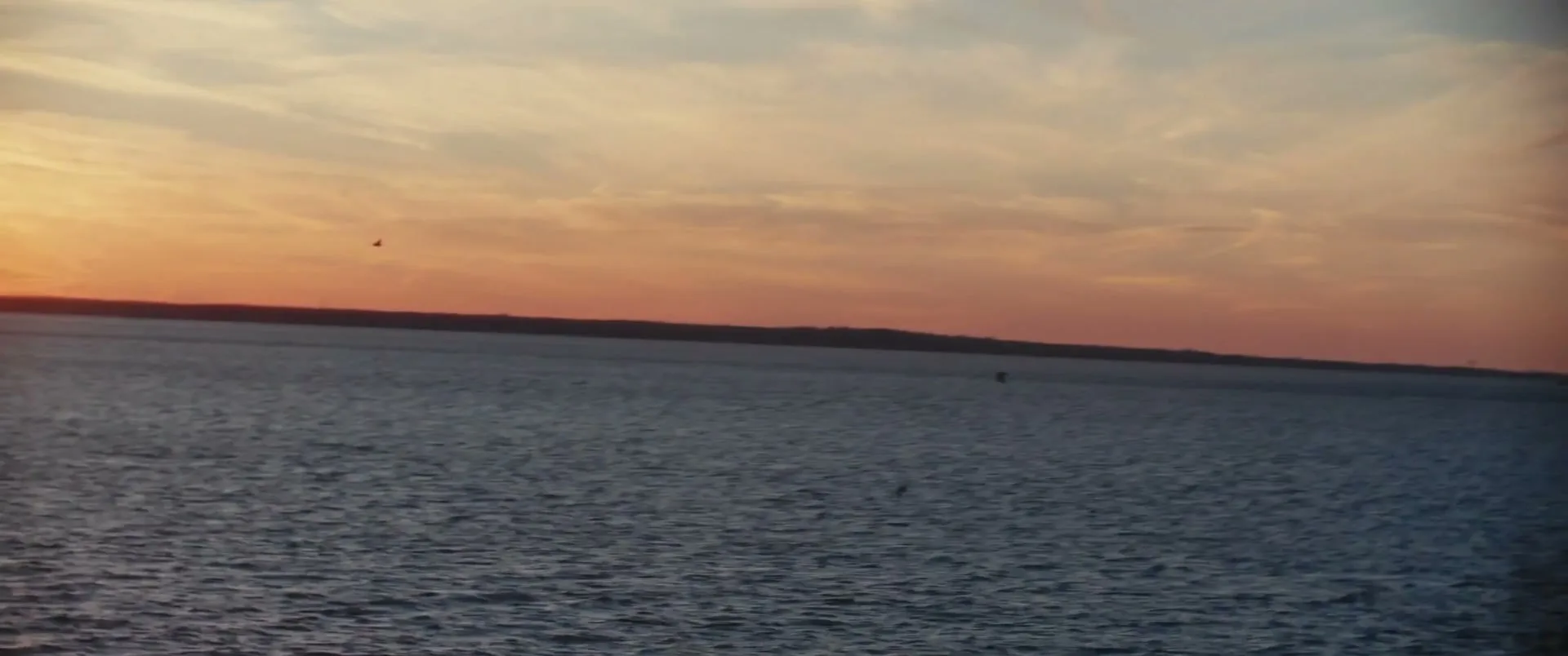 Discover “Newport - Grounded” (2023), frame 2