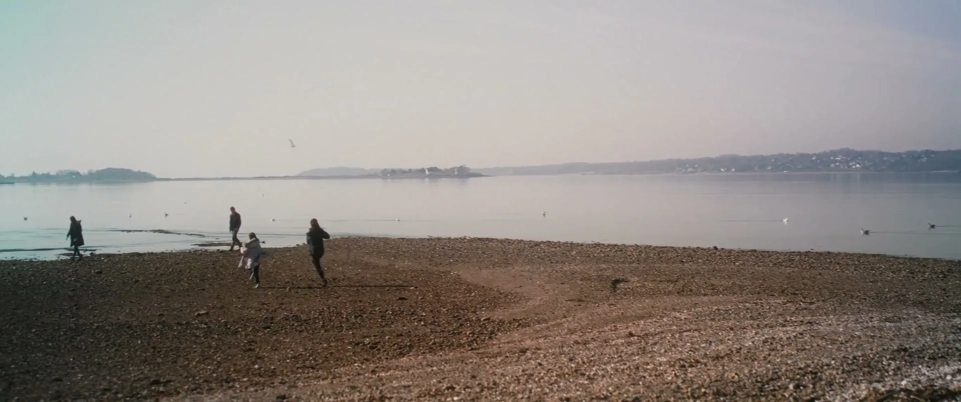 Discover “Newport - Grounded” (2023), frame 5
