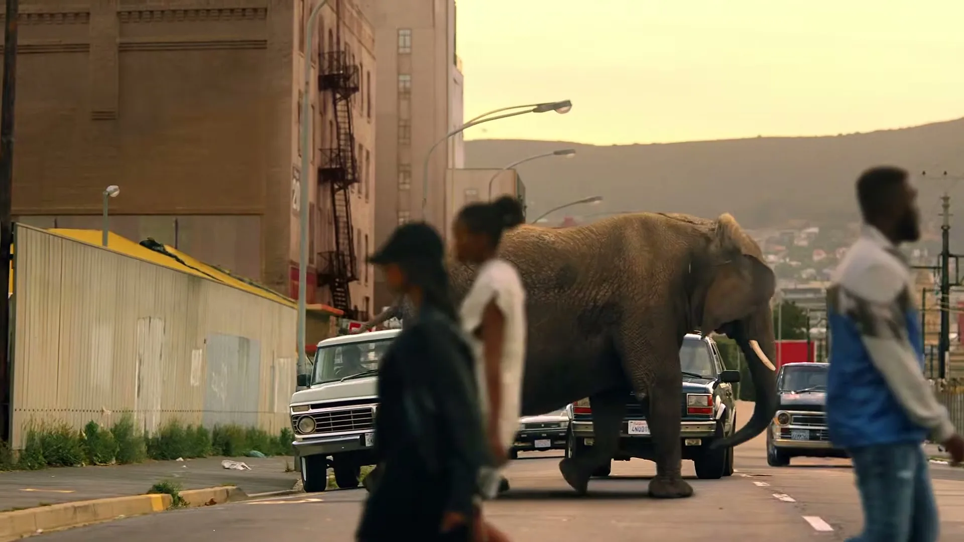 An elephant walks across a city street, passing between two parked pickup trucks, while several pedestrians walk past in the foreground.