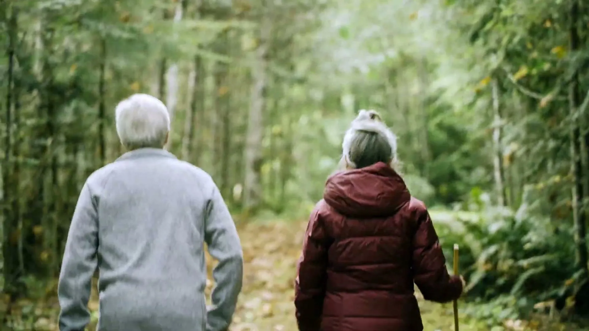 An older couple, seen from behind, walks away from the camera down a leaf-strewn path in a lush green forest.