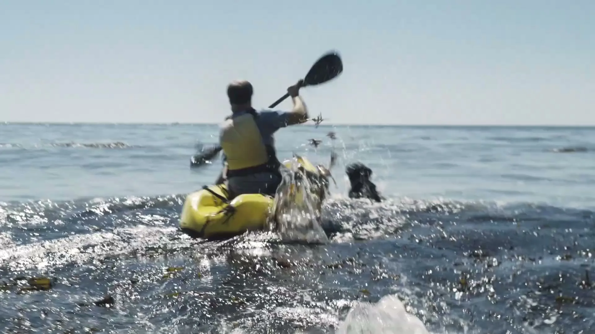 A man in a yellow kayak paddles through choppy ocean water with a dog swimming alongside him on a sunny day.