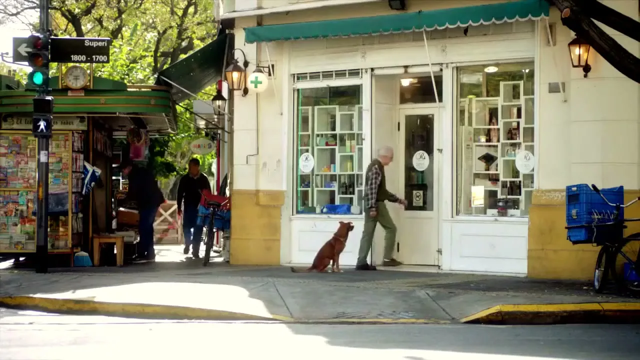 Fundación Argentina de Trasplante Hepático “The Man & The Dog” (2016), frame 3