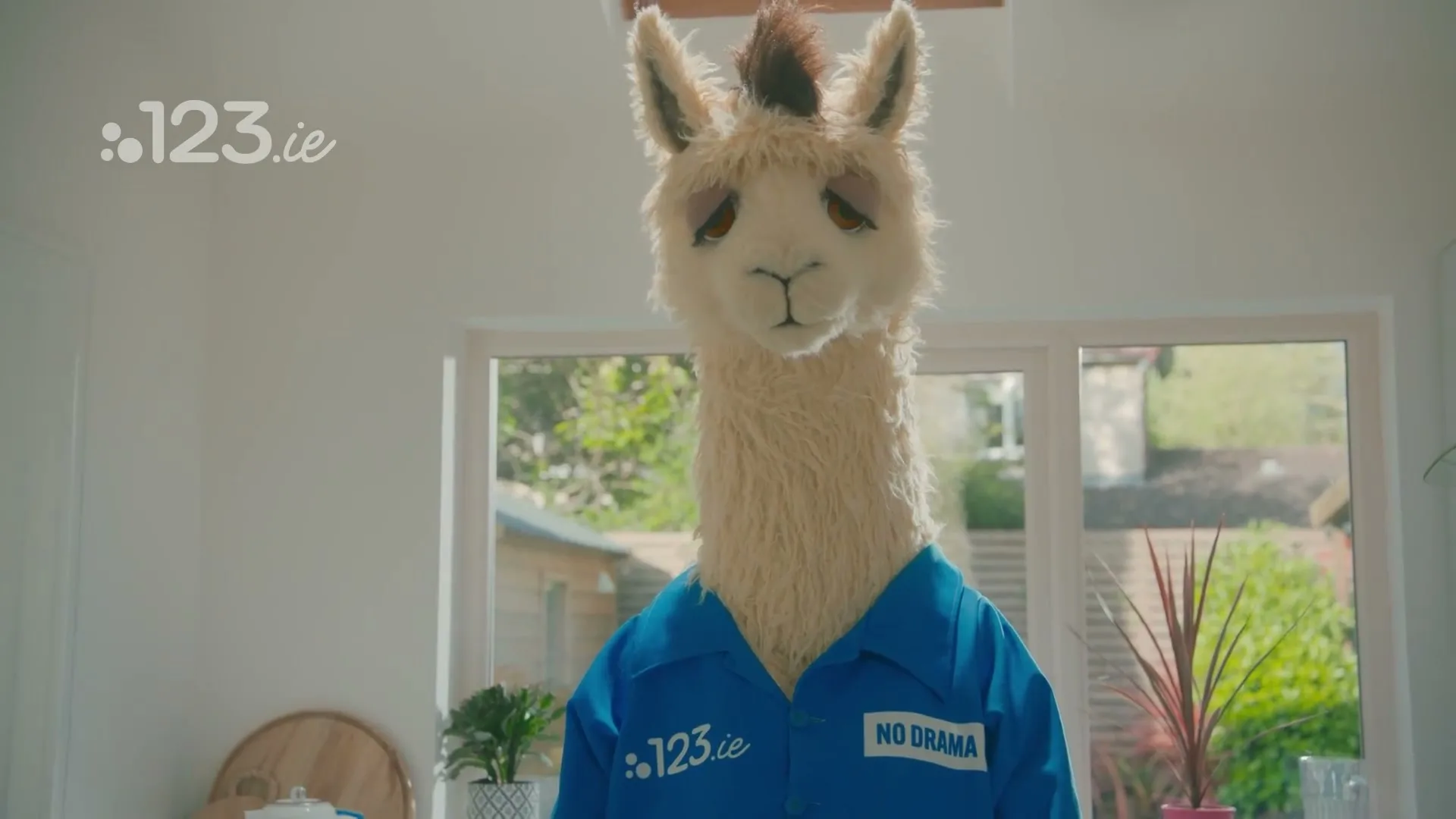 123.ie “No Drama Llama Kitchen” (2026)