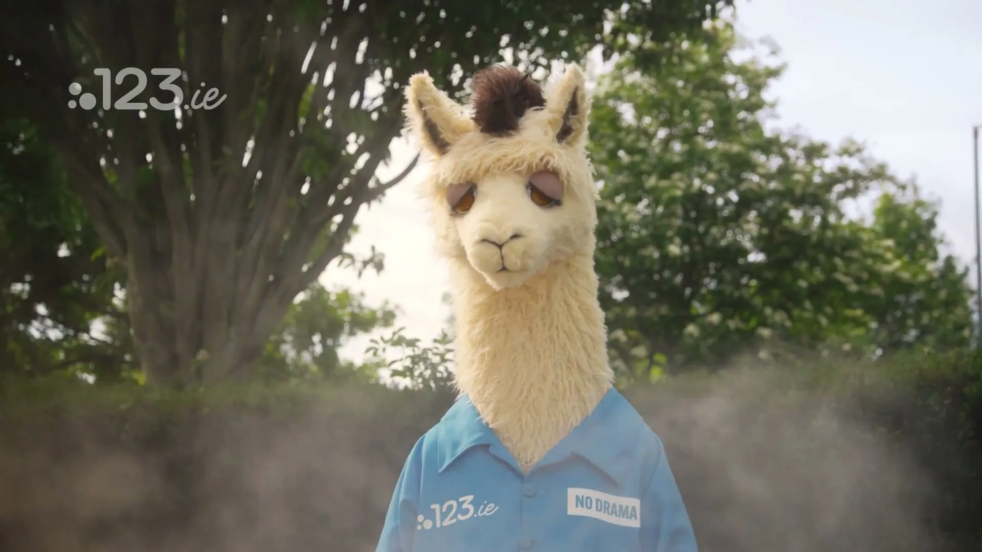 123.ie "No Drama Llama Driveway" (2026) commercial still