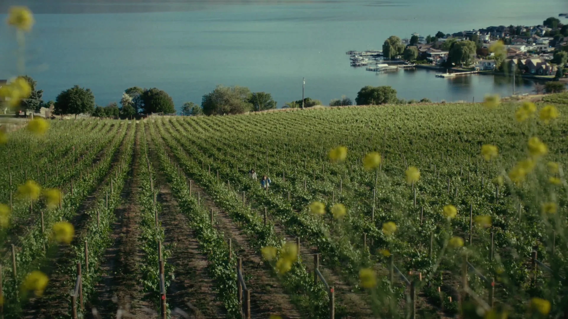 Destination Canada “Kelowna” (2026), frame 2