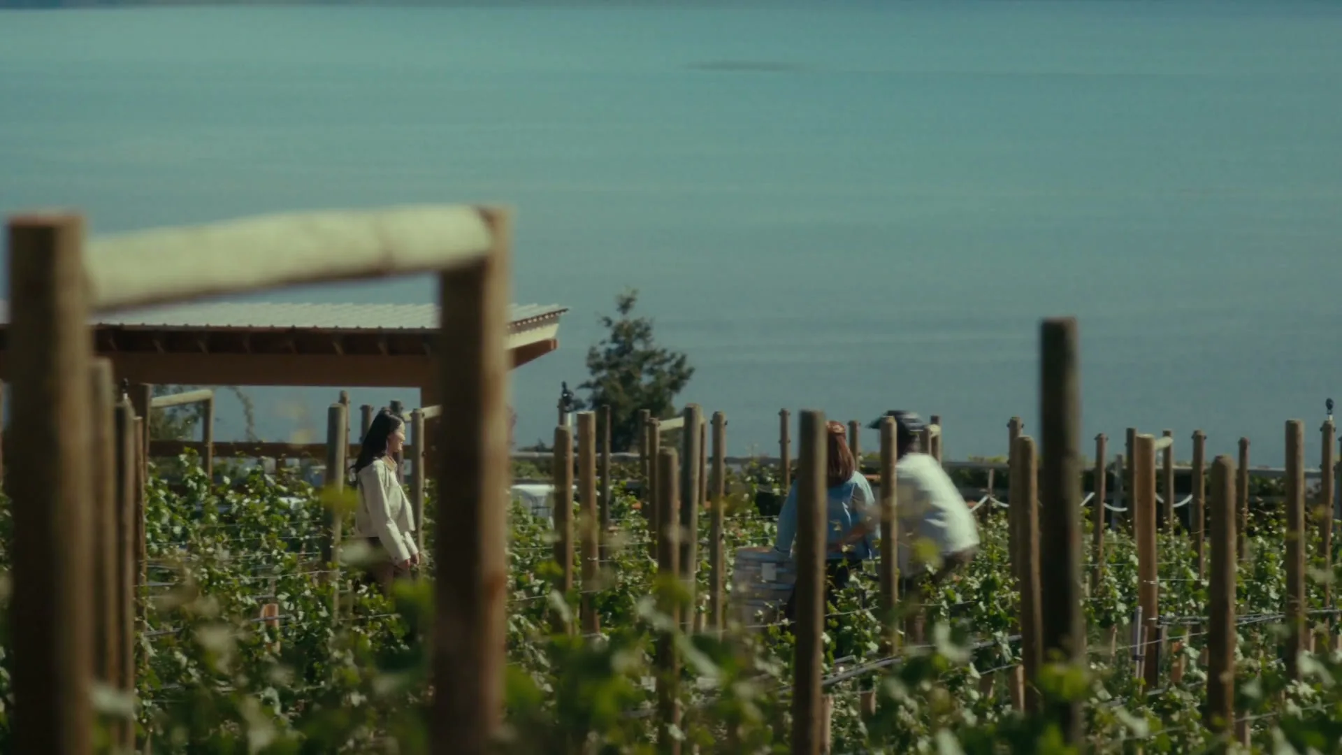 Destination Canada “Kelowna” (2026), frame 3