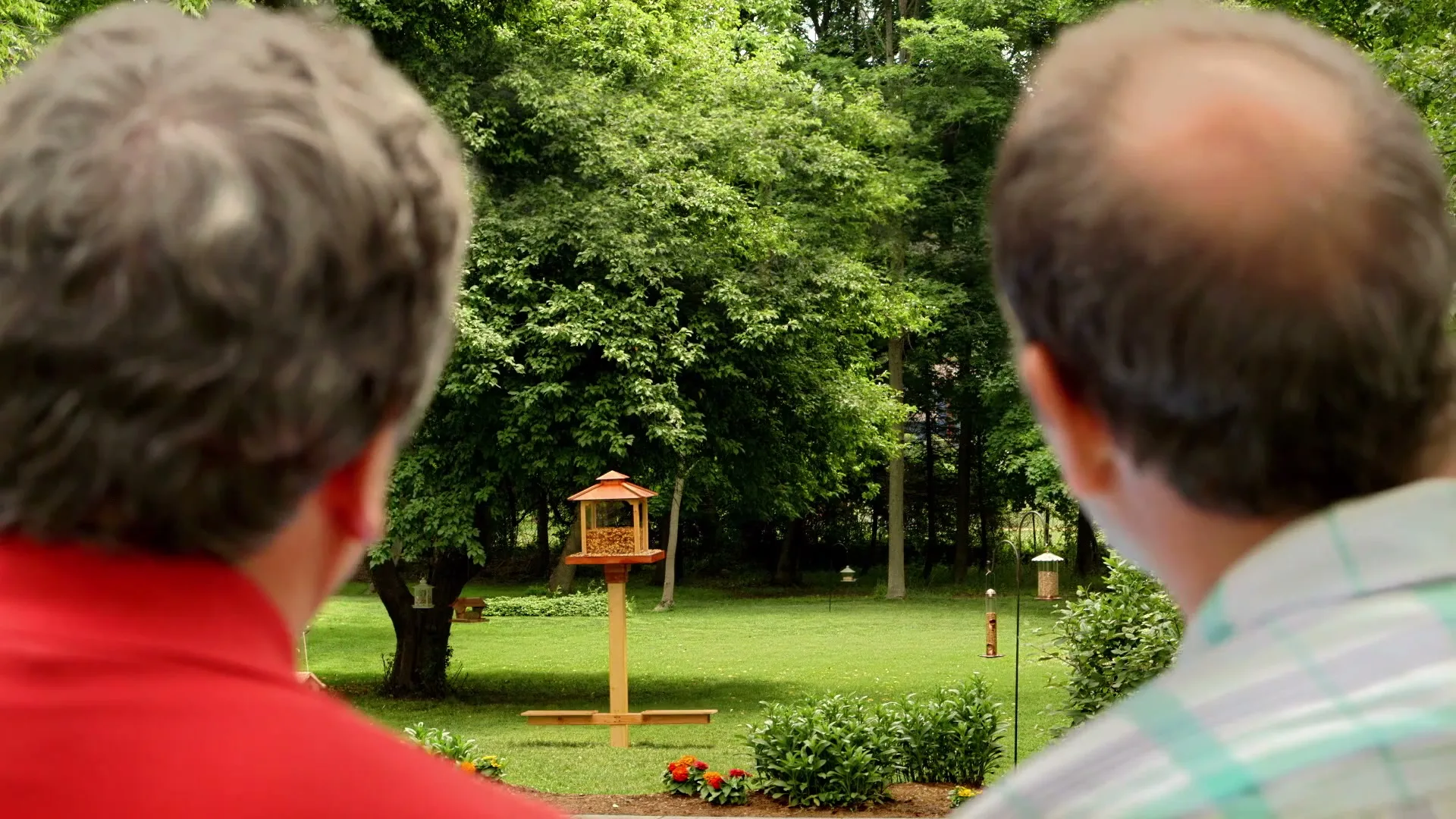 Emerald Nuts “People Feeder” (2026), frame 3