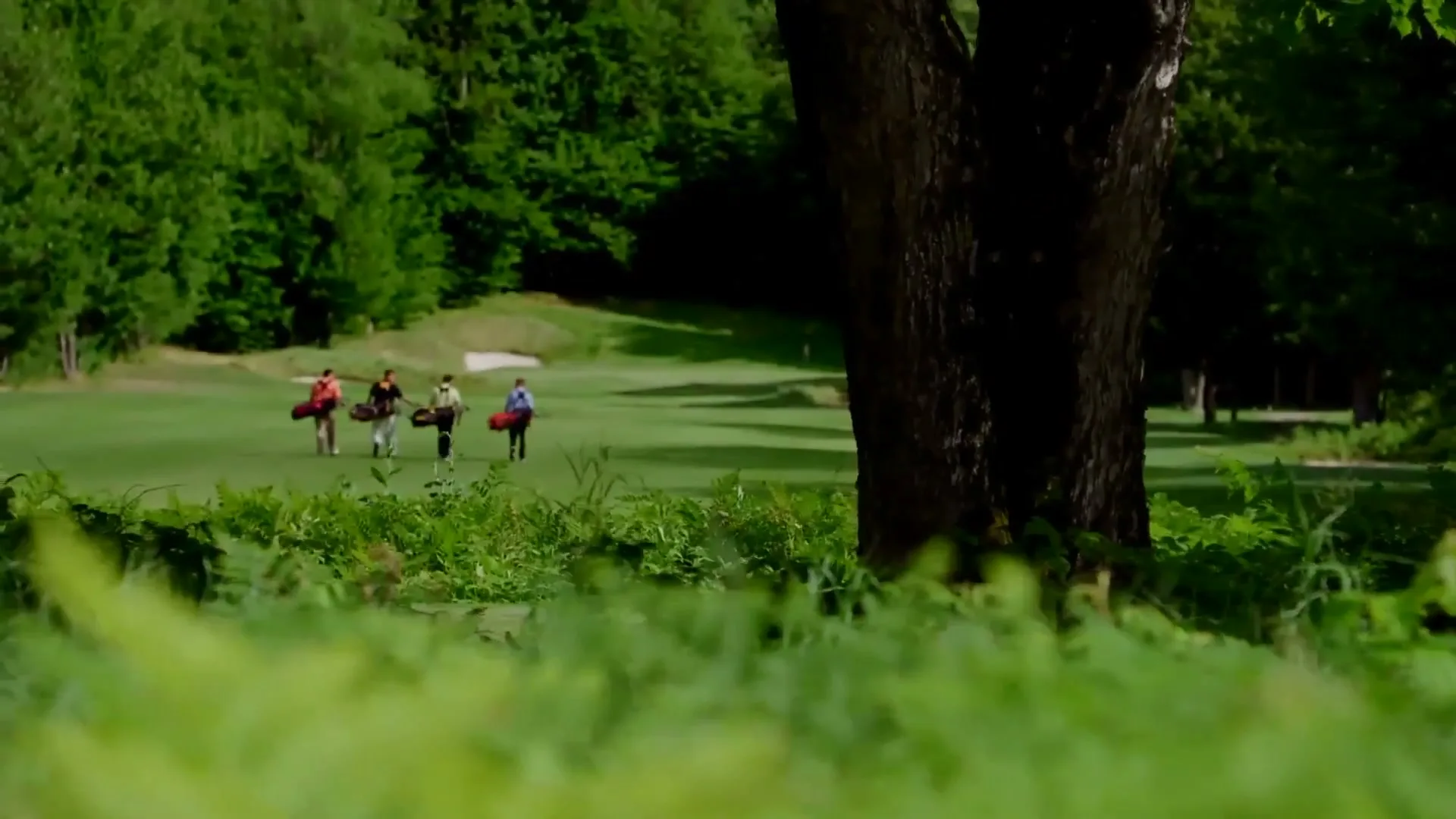 Pure Michigan "Michigan" (2023) commercial still
