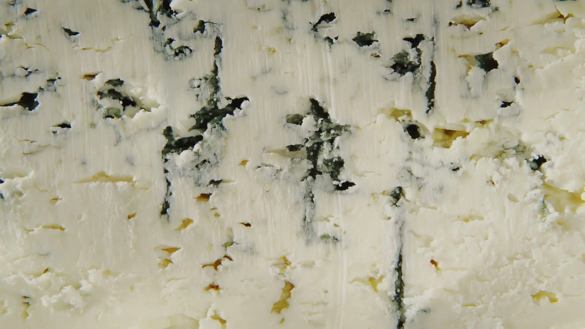 Wisconsin Cheese “Wisconsin Cheese - Caravane” (2023), frame 3
