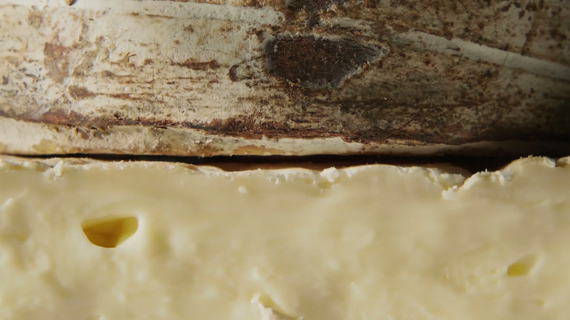 Wisconsin Cheese “Wisconsin Cheese - Caravane” (2023), frame 4