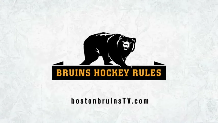 A black bear logo with "BRUINS HOCKEY RULES" text is displayed on a white background, with "bostonbruinsTV.com" appearing below.