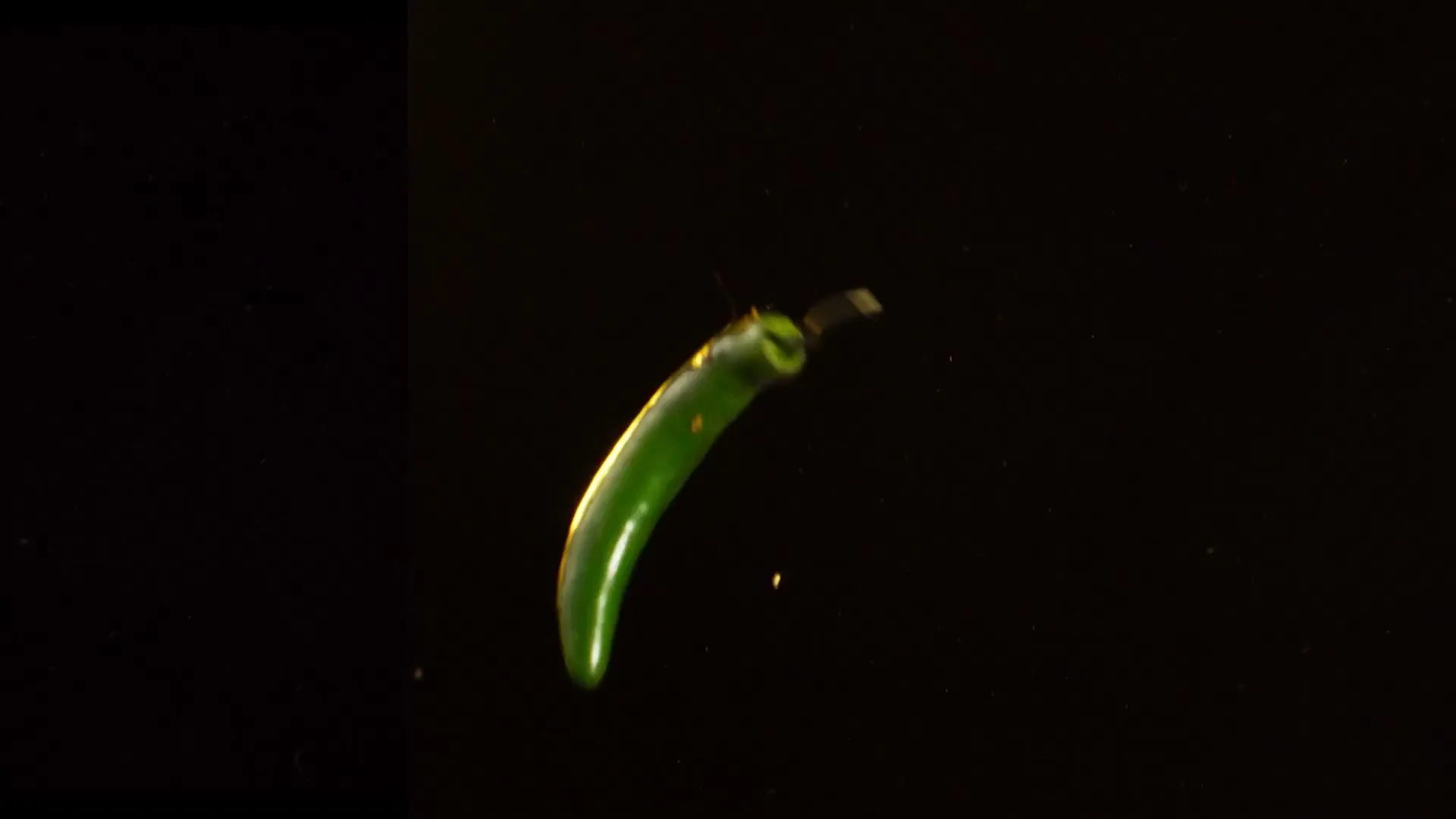 Farmer Nate's “Hot Sauce” (2025), frame 6