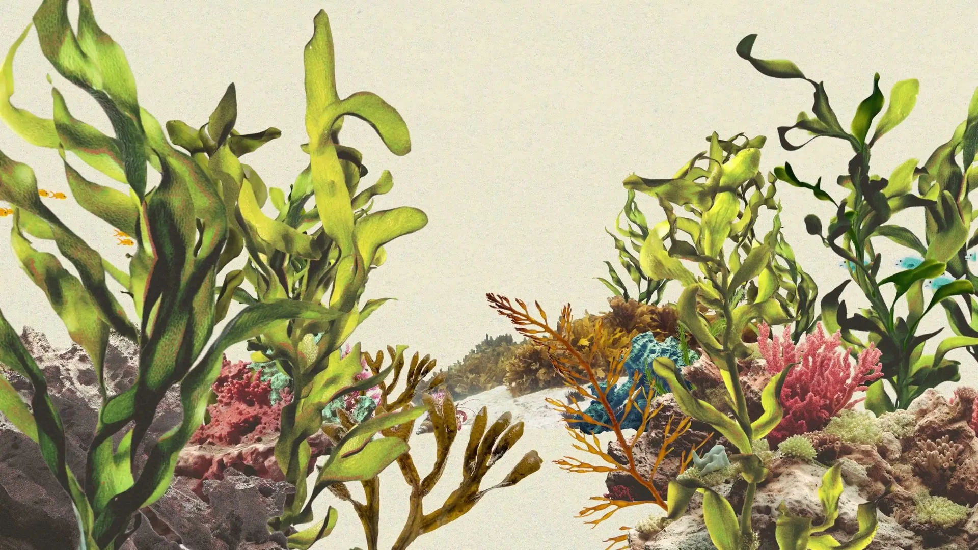 Greenpeace Australia “Oceans” (2025), frame 2