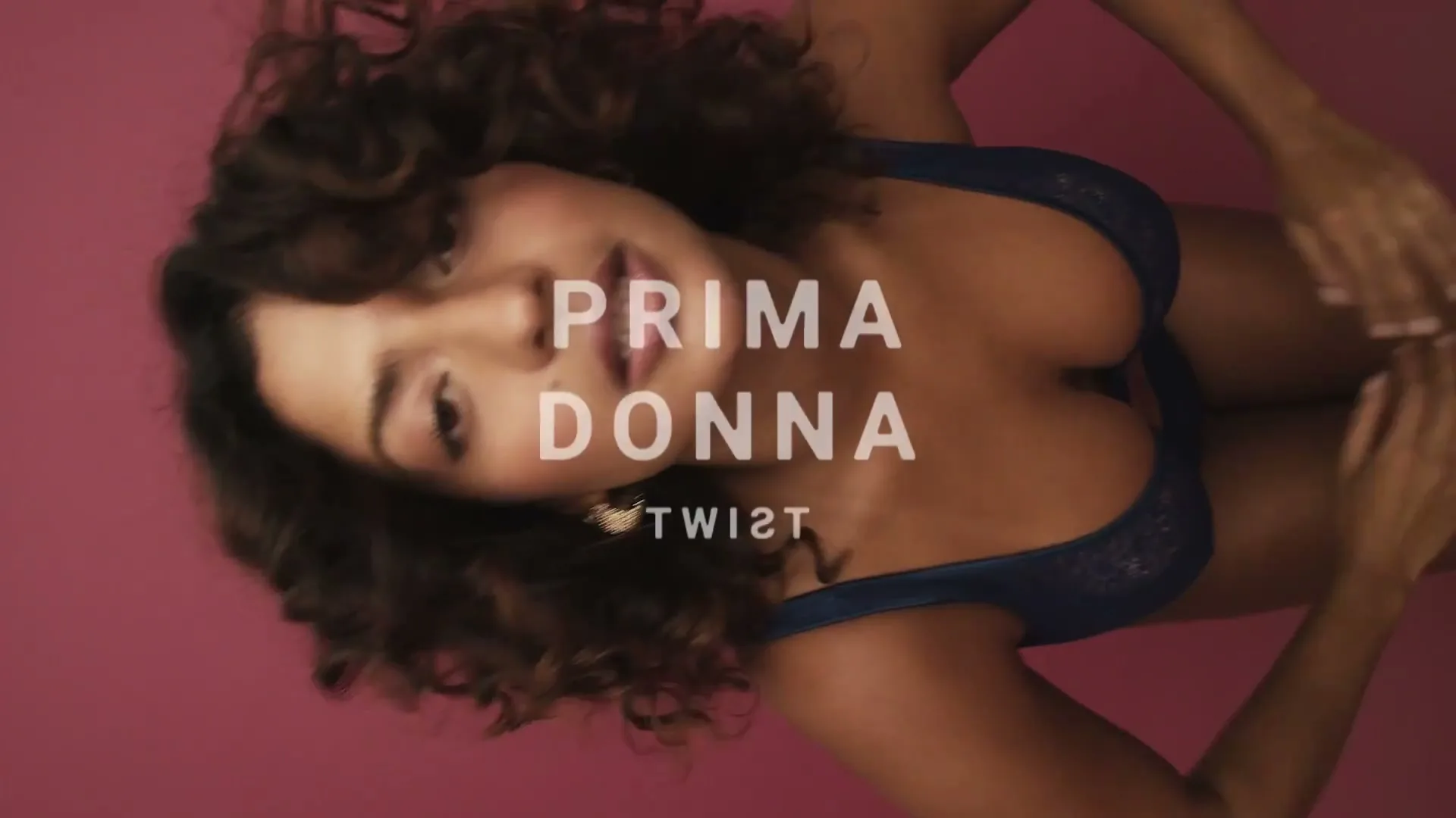 Studio Alfons Meyer