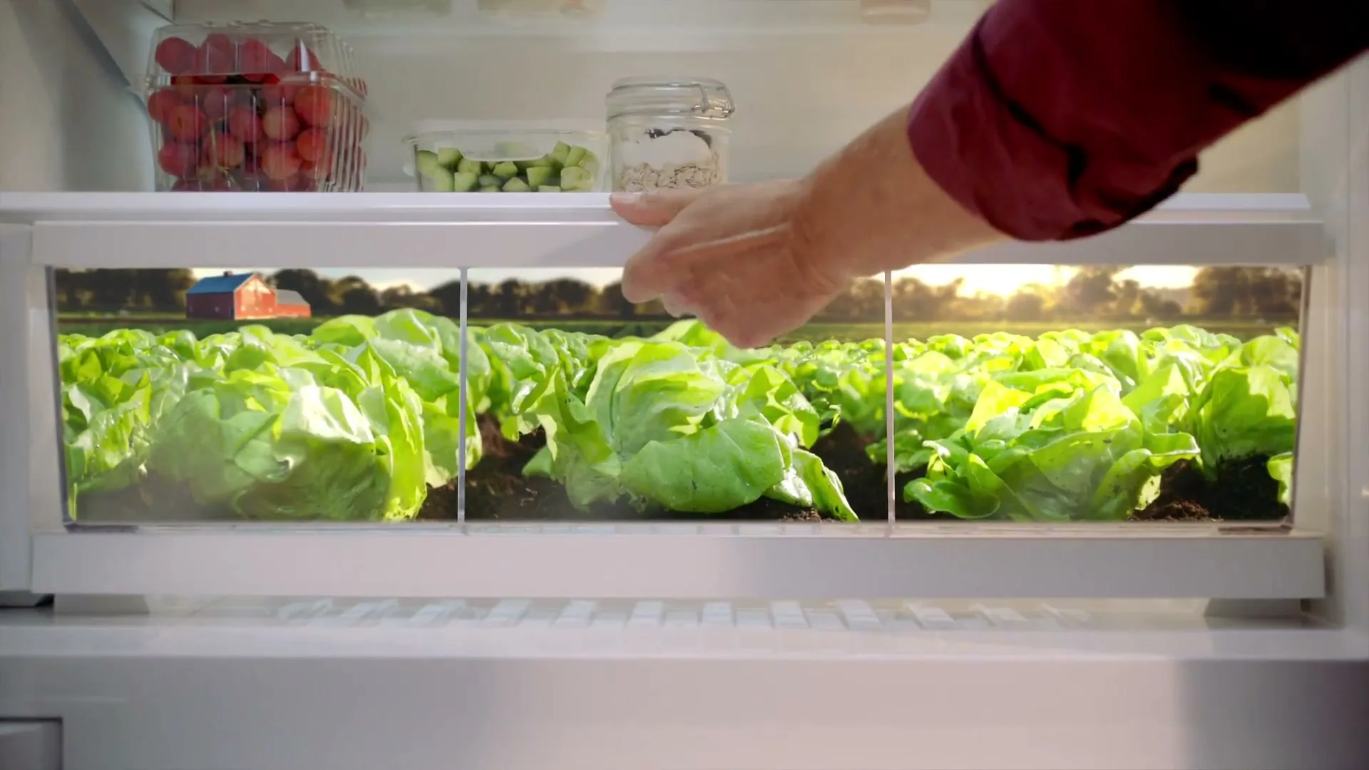 Sub Zero "Farm Fresh" (2025) commercial still