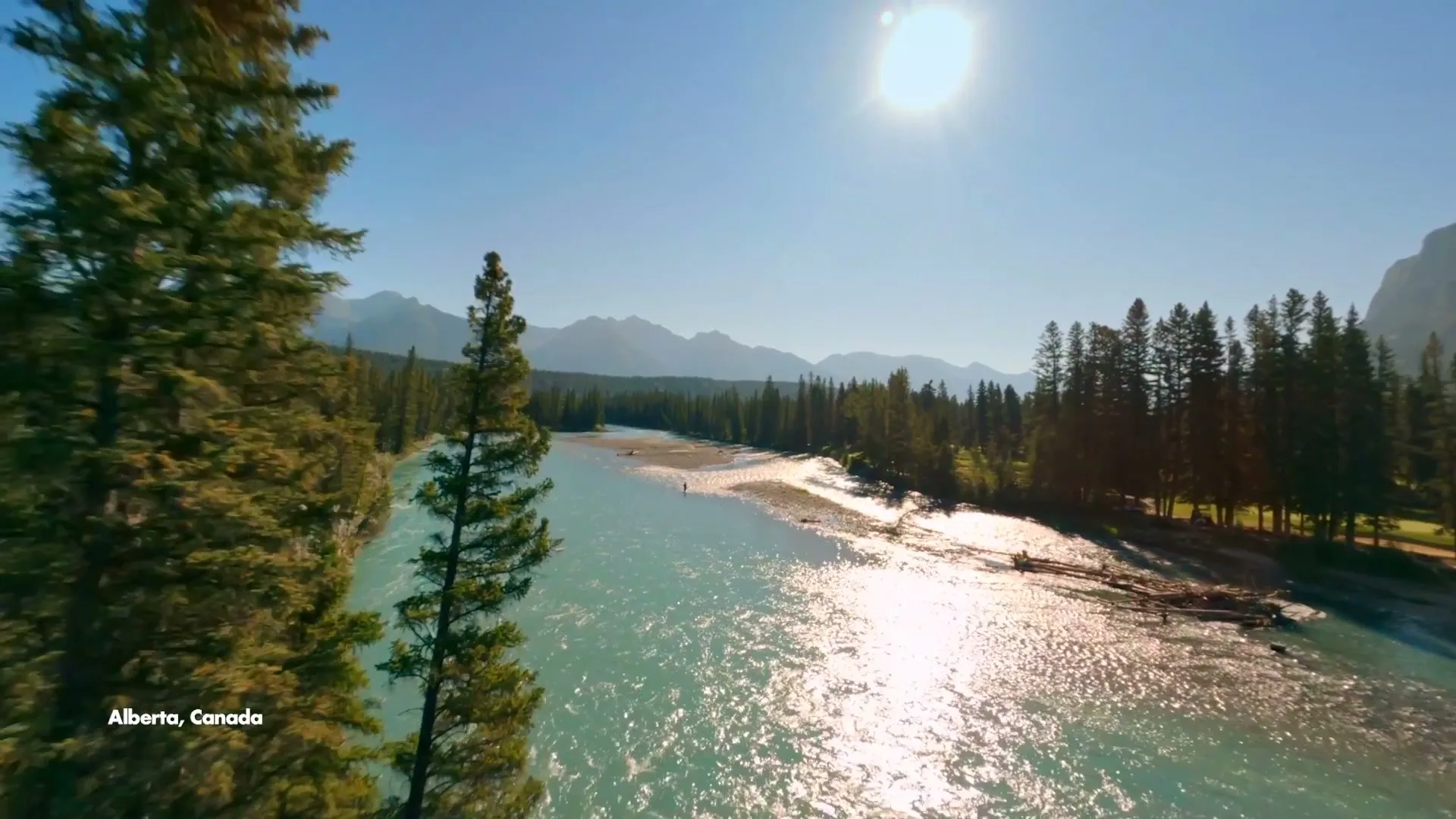 Travel Alberta “Summer Bumblebee” (2025), frame 2