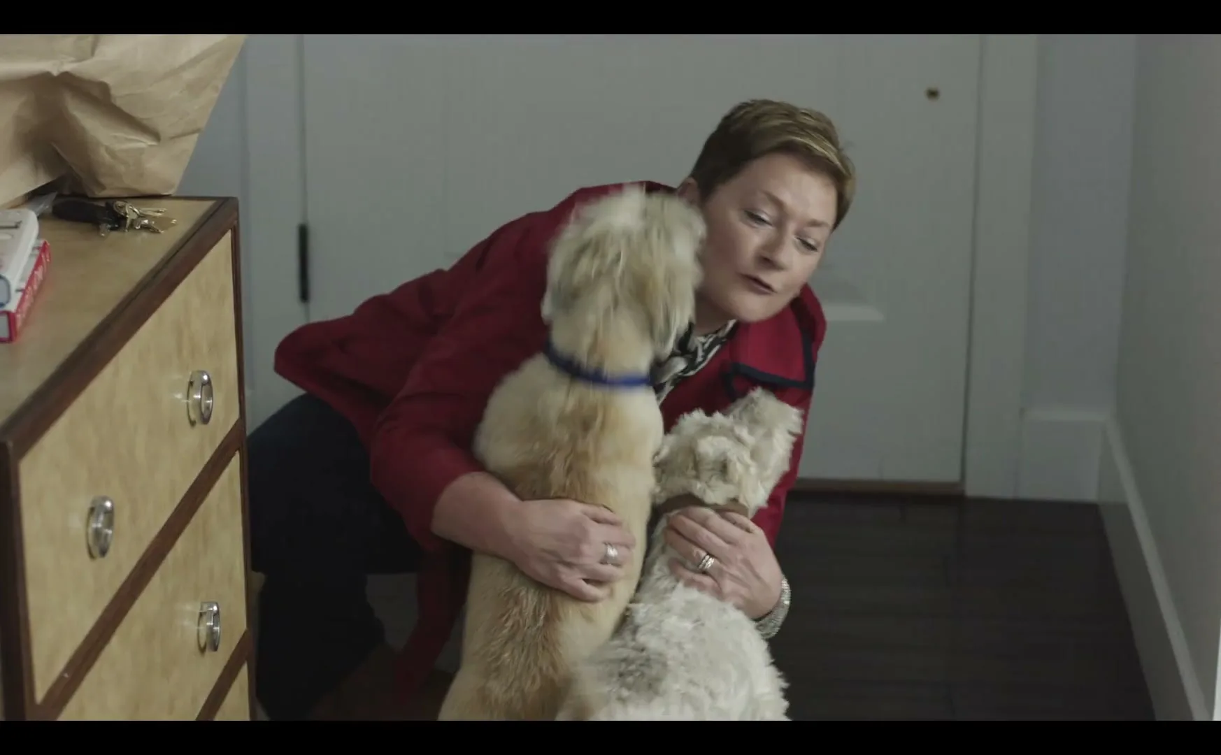 PetSmart "Inspired" (2025) commercial still