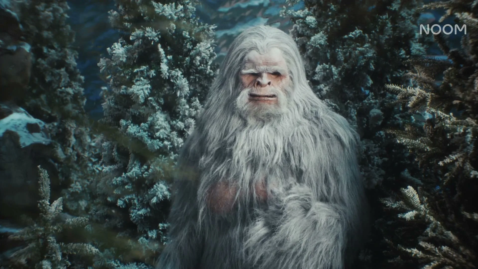 Noom “GO MICRO YETI” (2025)