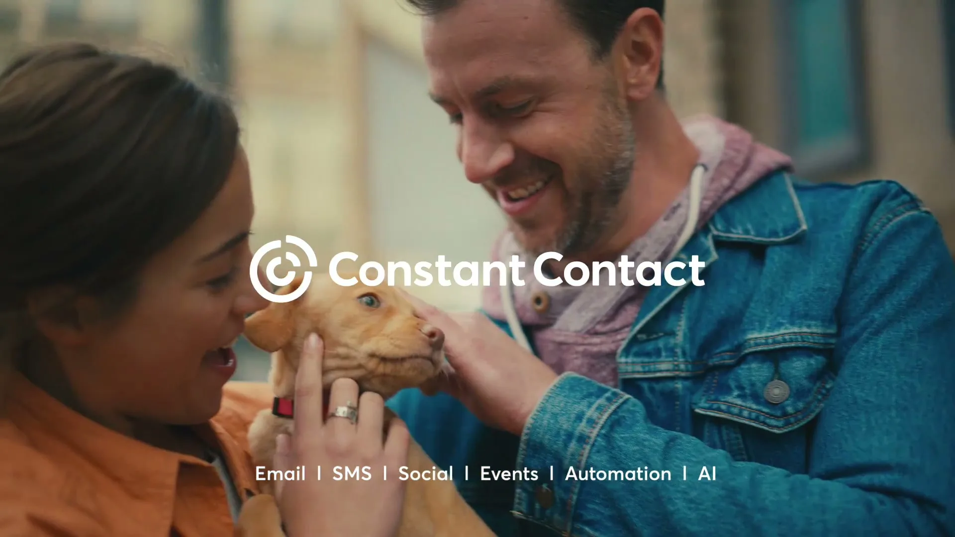 Constant Contact "Roxy's Rescues" (2024) commercial still