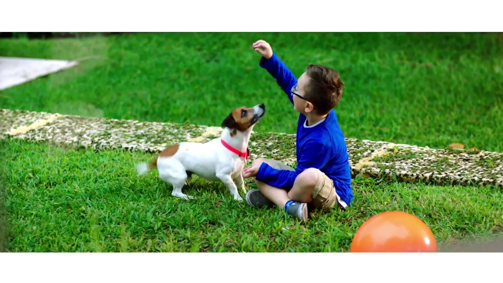 Glaxo Smith-Kline "Flonase - Pet Allergies" (2024) commercial still