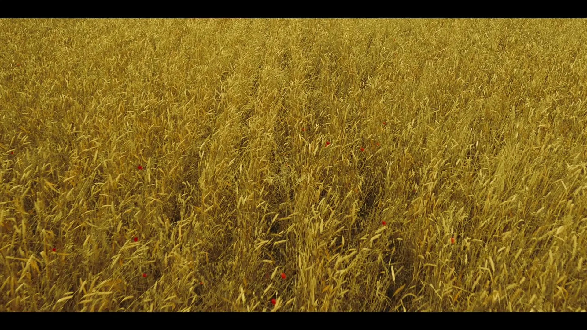 M&S Food "Farm to Foodhall - Sourdough Part 1" (2024) commercial still