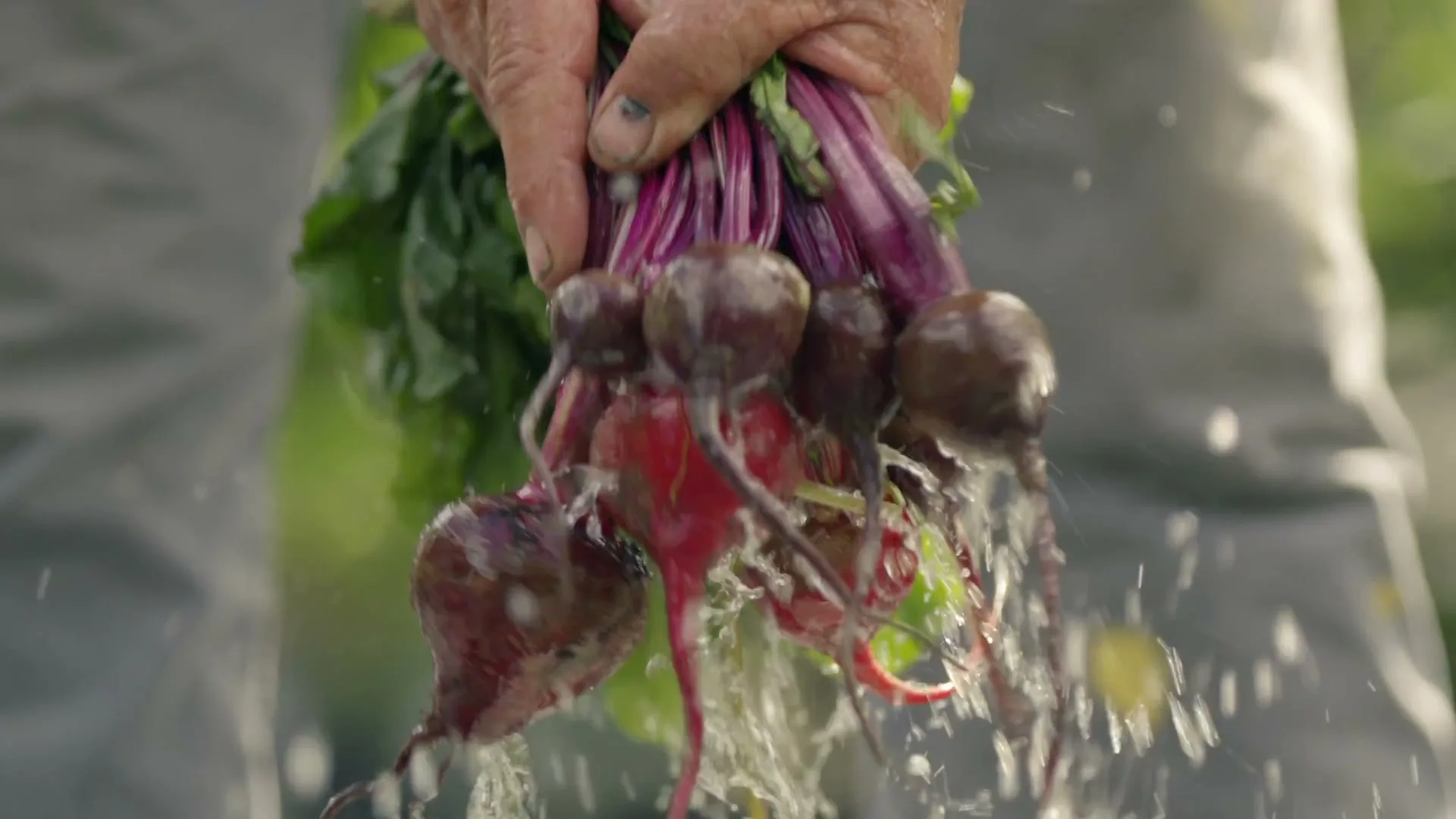 New York Tourism "New York Organic Farmers" (2024) commercial still