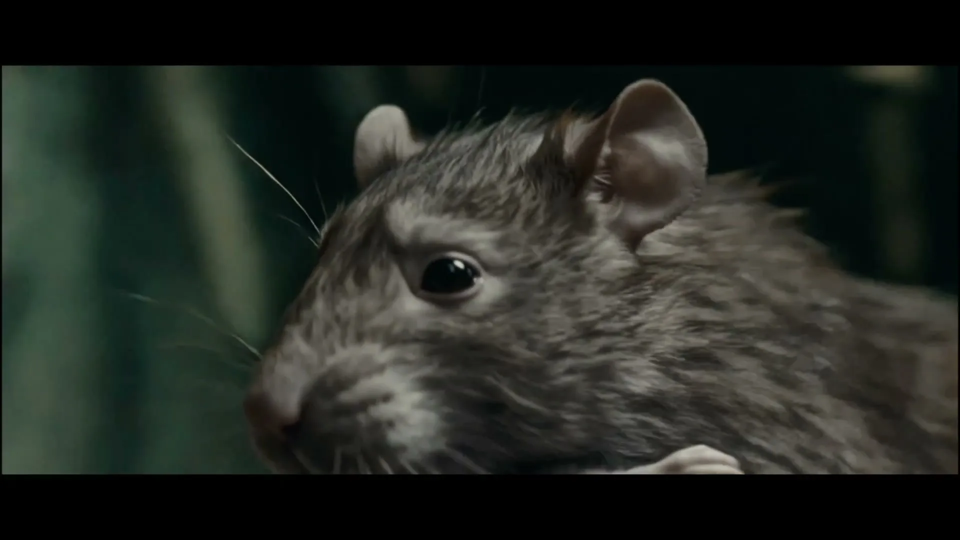 A CGI rat with grey fur and large ears looks around nervously in a dark, green-tinged environment.