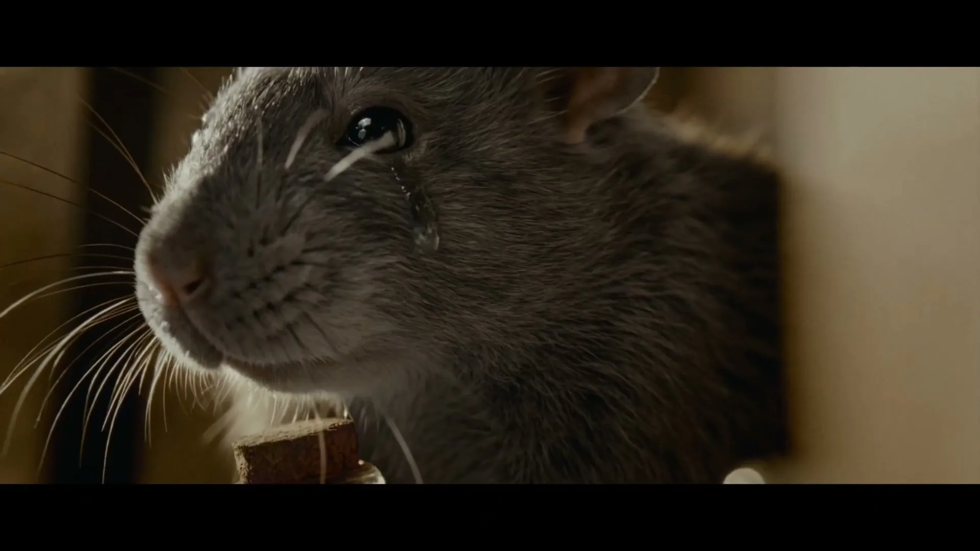 A close-up of a small, grey rat with large whiskers, looking sad with a tear rolling down its cheek, peeking out from a wooden box.