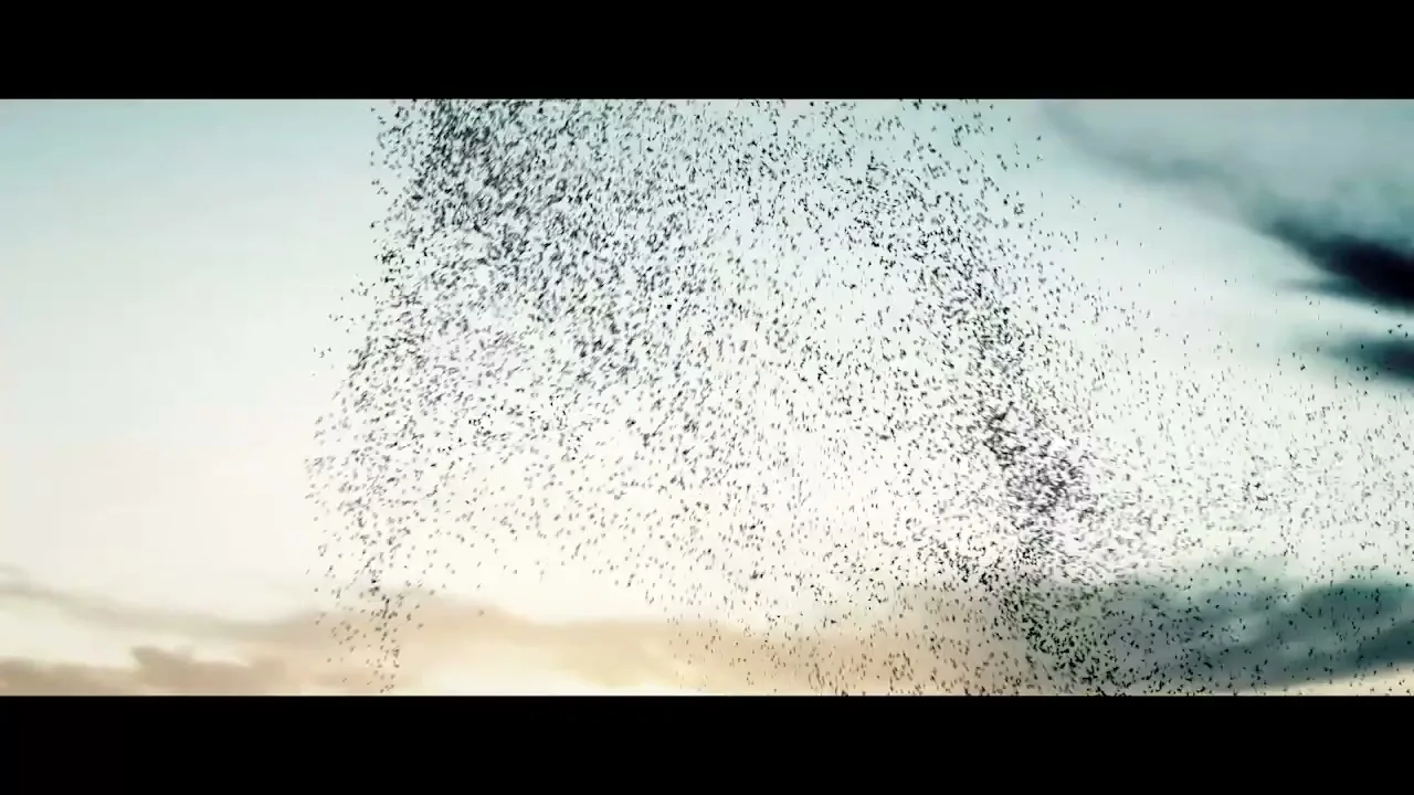 Burt's Bees “Batfon Beeswax”, directed by Loren Denis