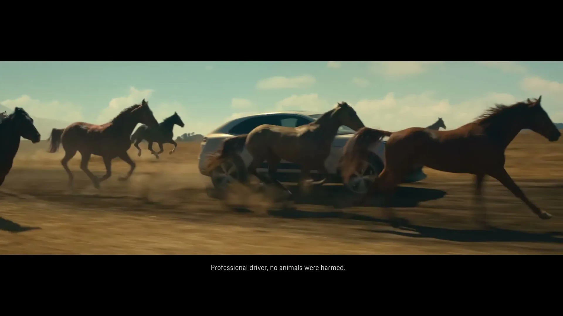 A herd of brown horses gallop across a dusty, arid landscape, kicking up dirt as a white Porsche Macan drives alongside them under a clear sky.