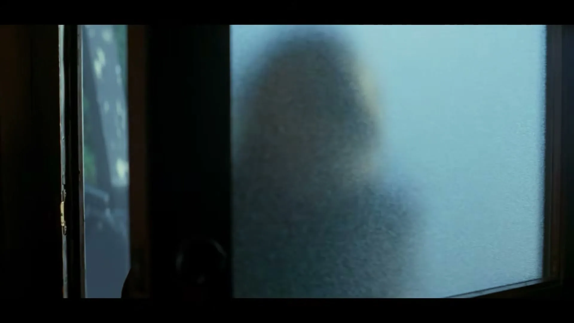 A blurred figure is seen through a frosted glass door, then an older woman with short grey hair opens the door and looks out.